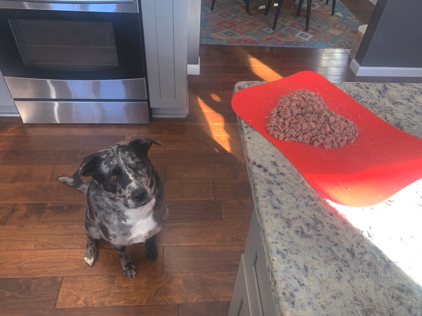 Dog Beef Meat Roll