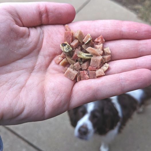 Dog Beef Meat Roll