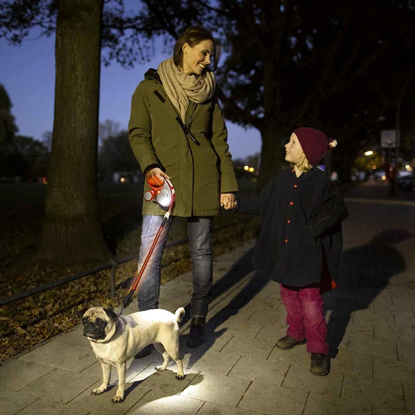 Flexi Leash Accessory