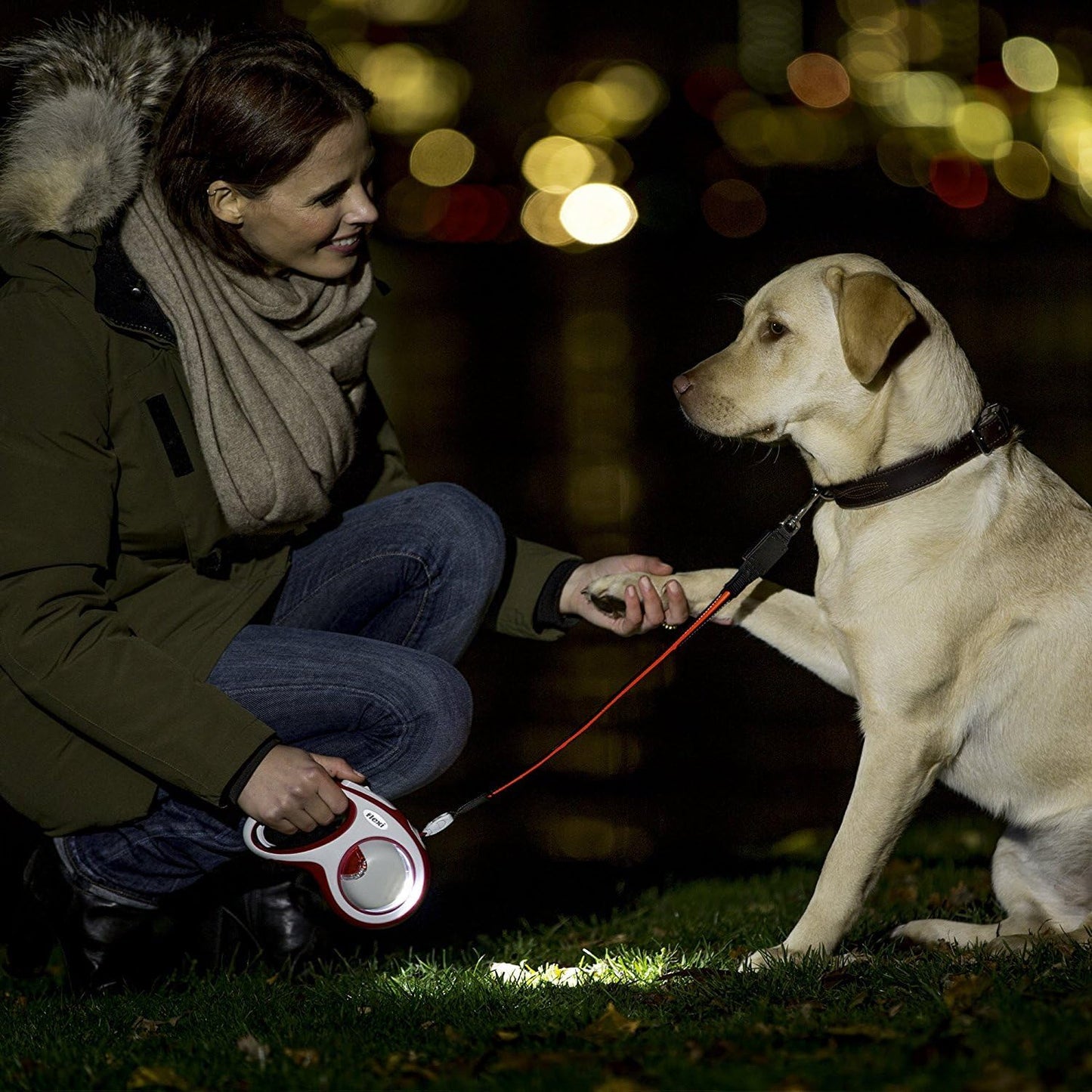 Flexi Leash Accessory