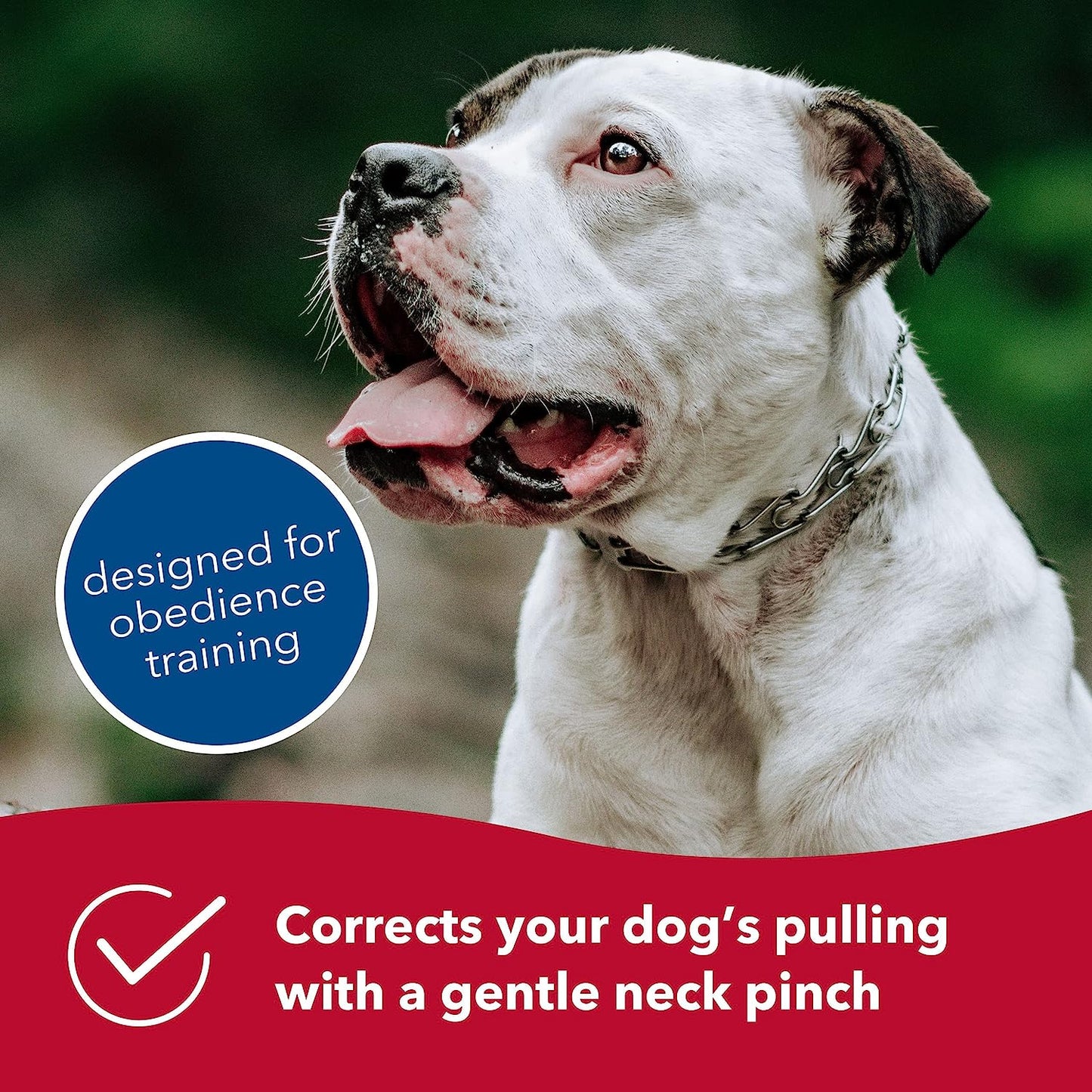 Herm Sprenger Stainless Steel Prong Collar