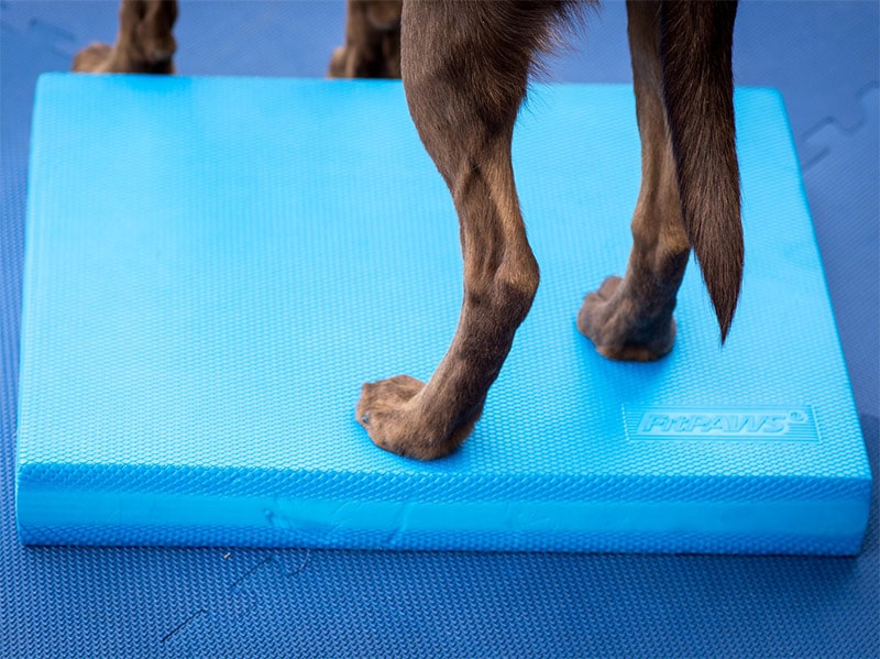 Balance Pad