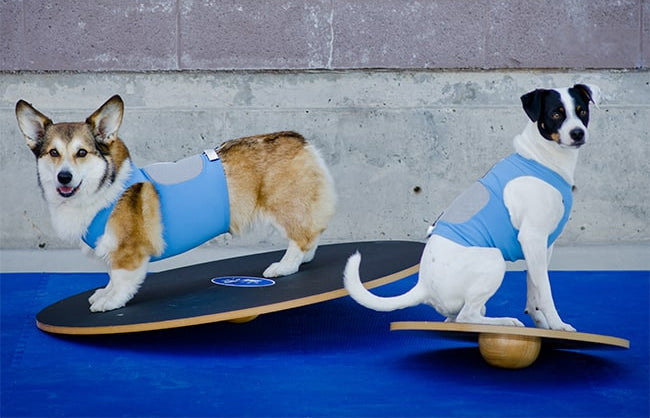 Wobble Board