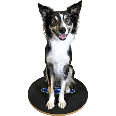 Wobble Board