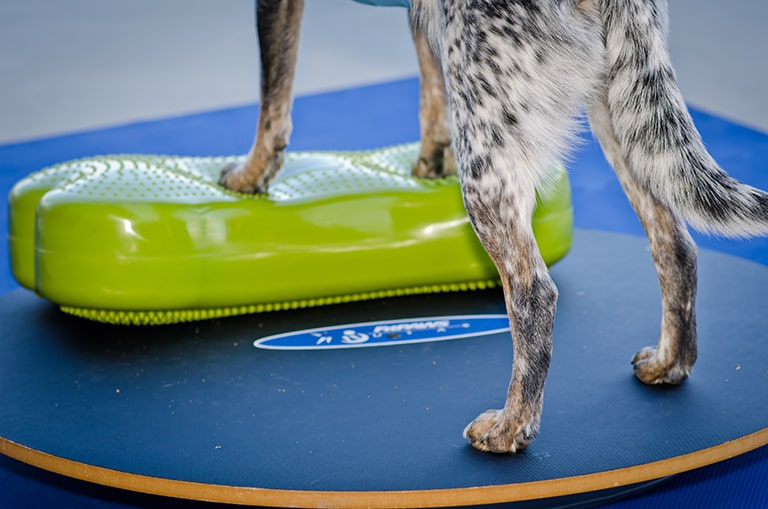 Wobble Board