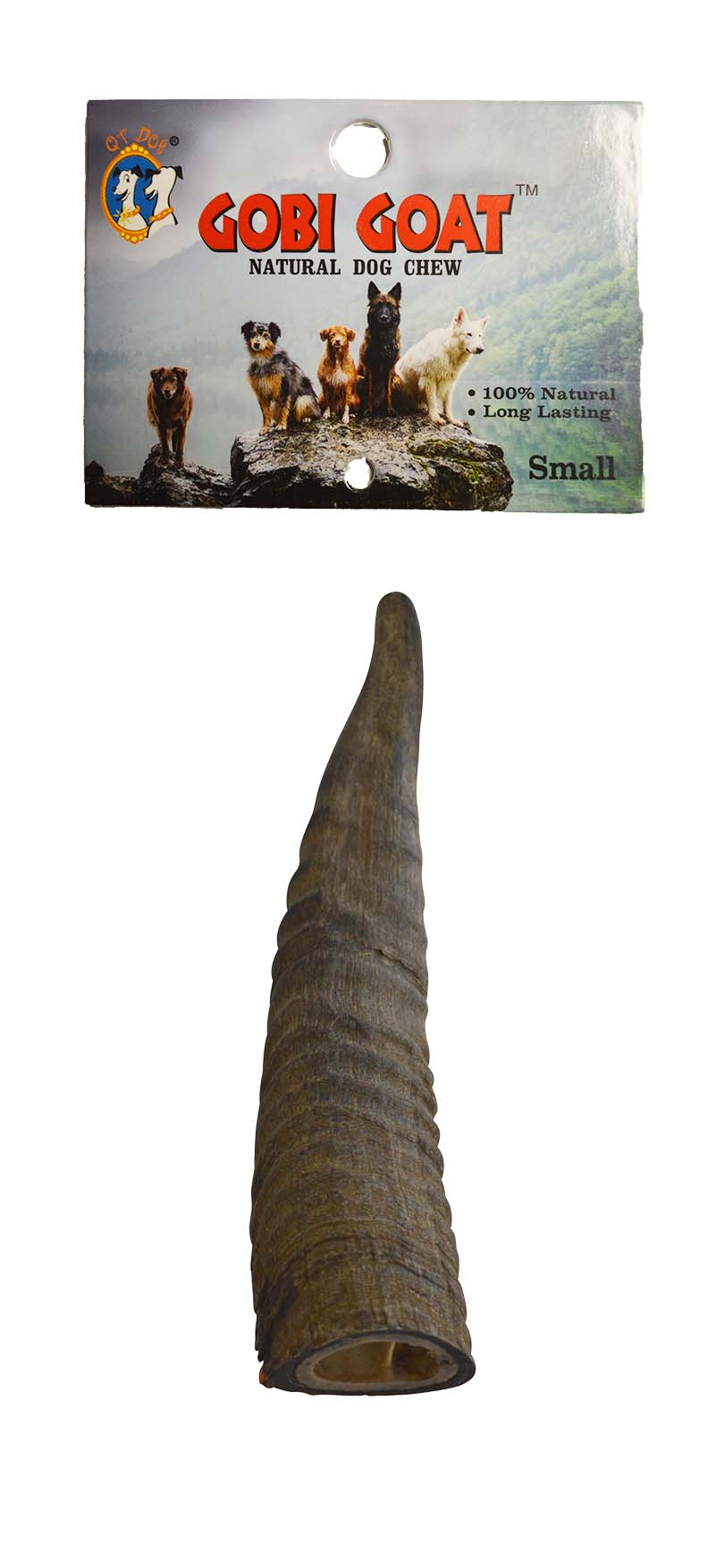 Gobi Horn