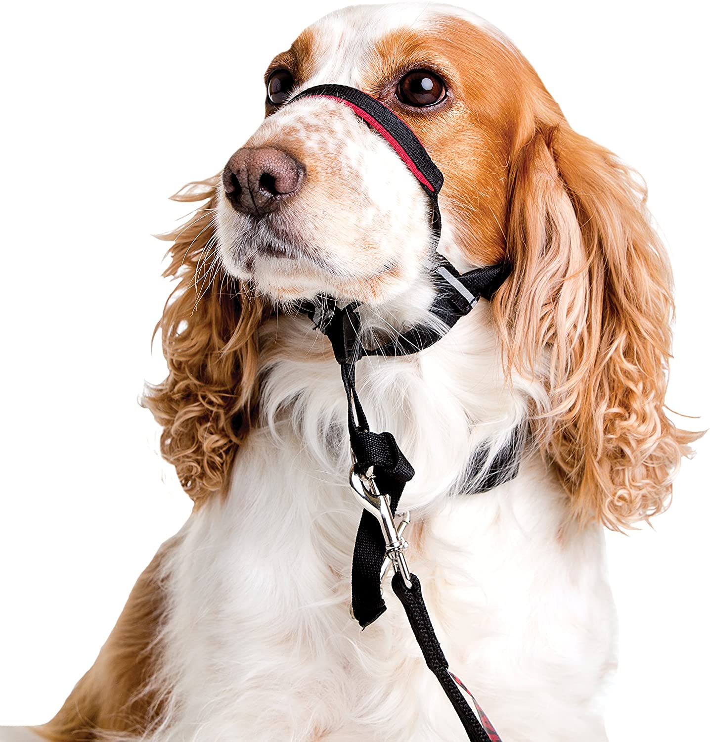Halti Optifit Headcollar