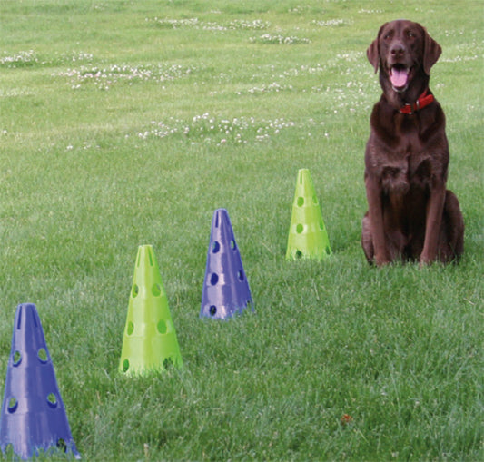 FitPAWS Agility Kit CanineGym 3 Jumps