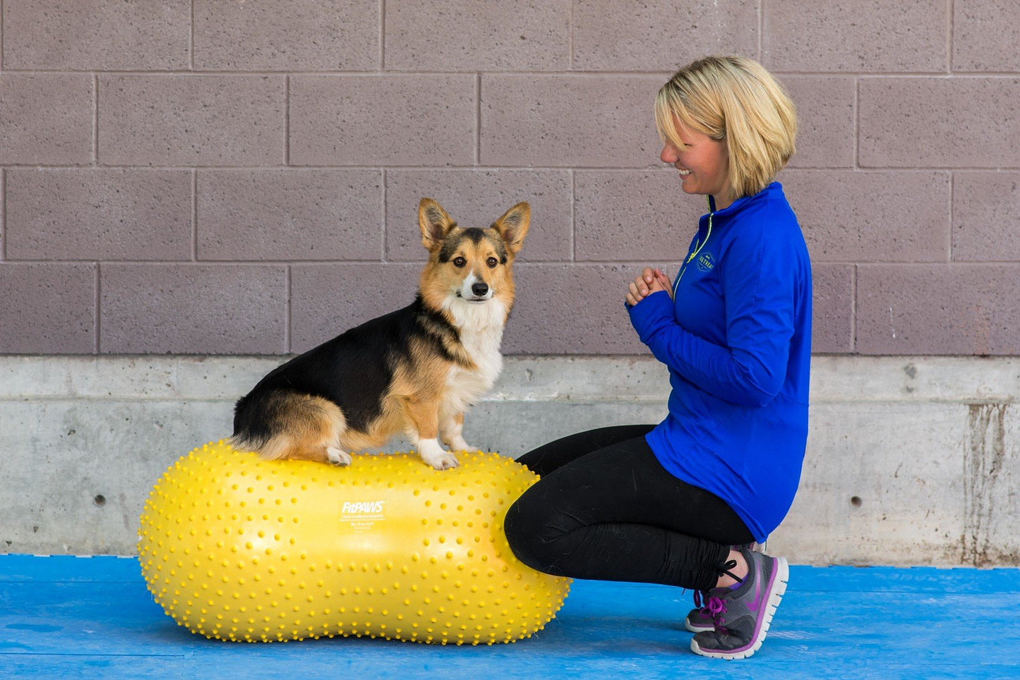 FitPAWS TRAX Peanut