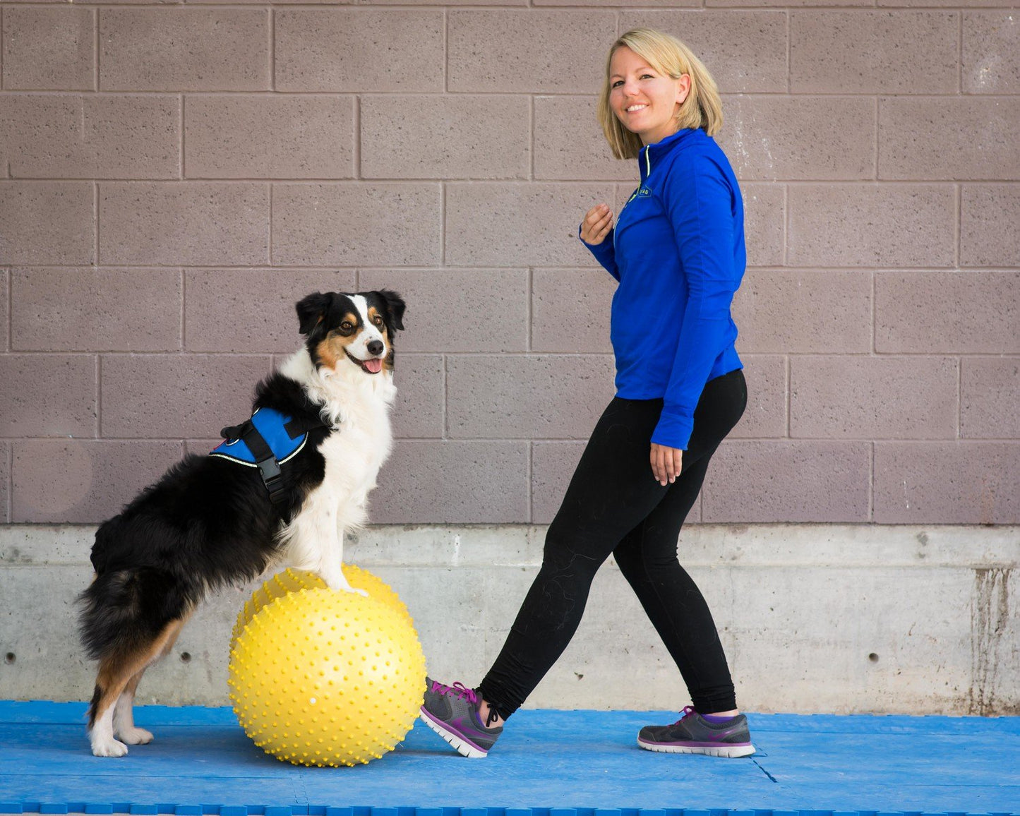 FitPAWS TRAX Peanut