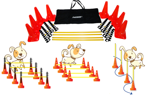 FitPAWS Hurlde Set 4 Jumps