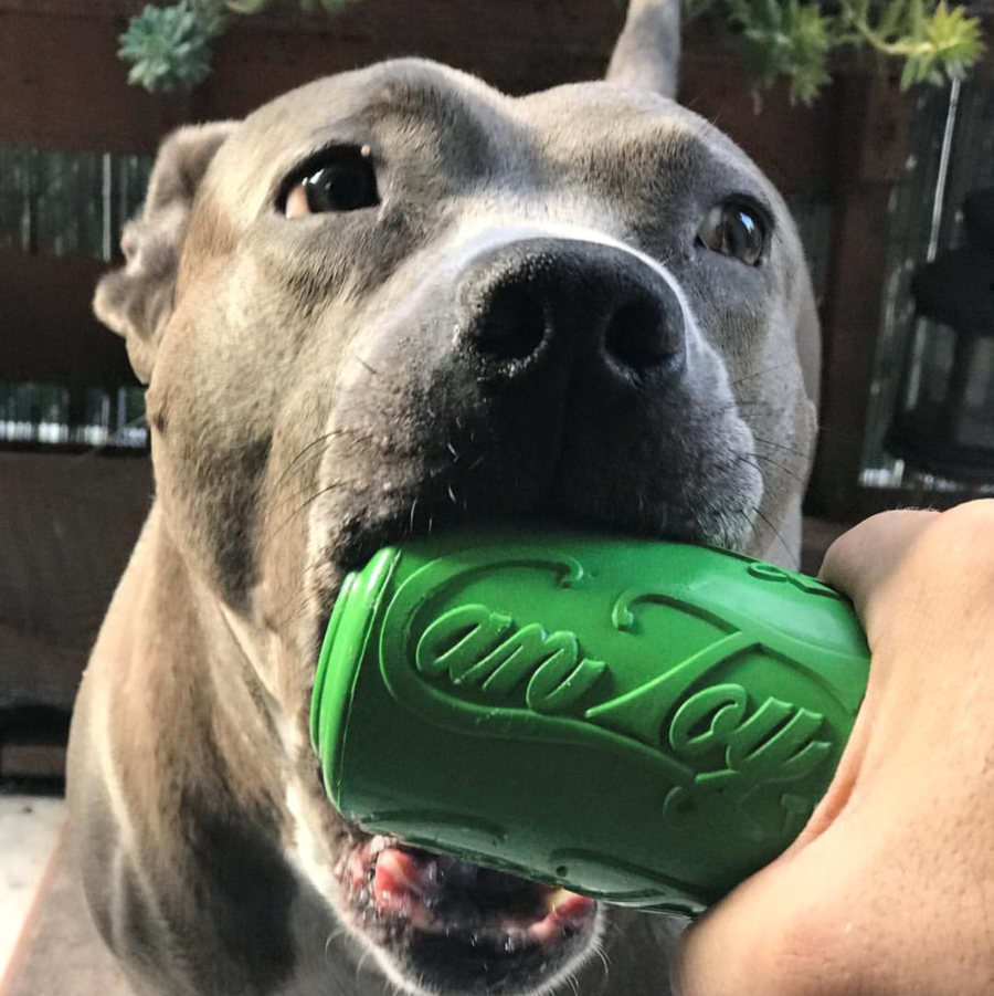 SodaPup Soda Can Treat Dispenser