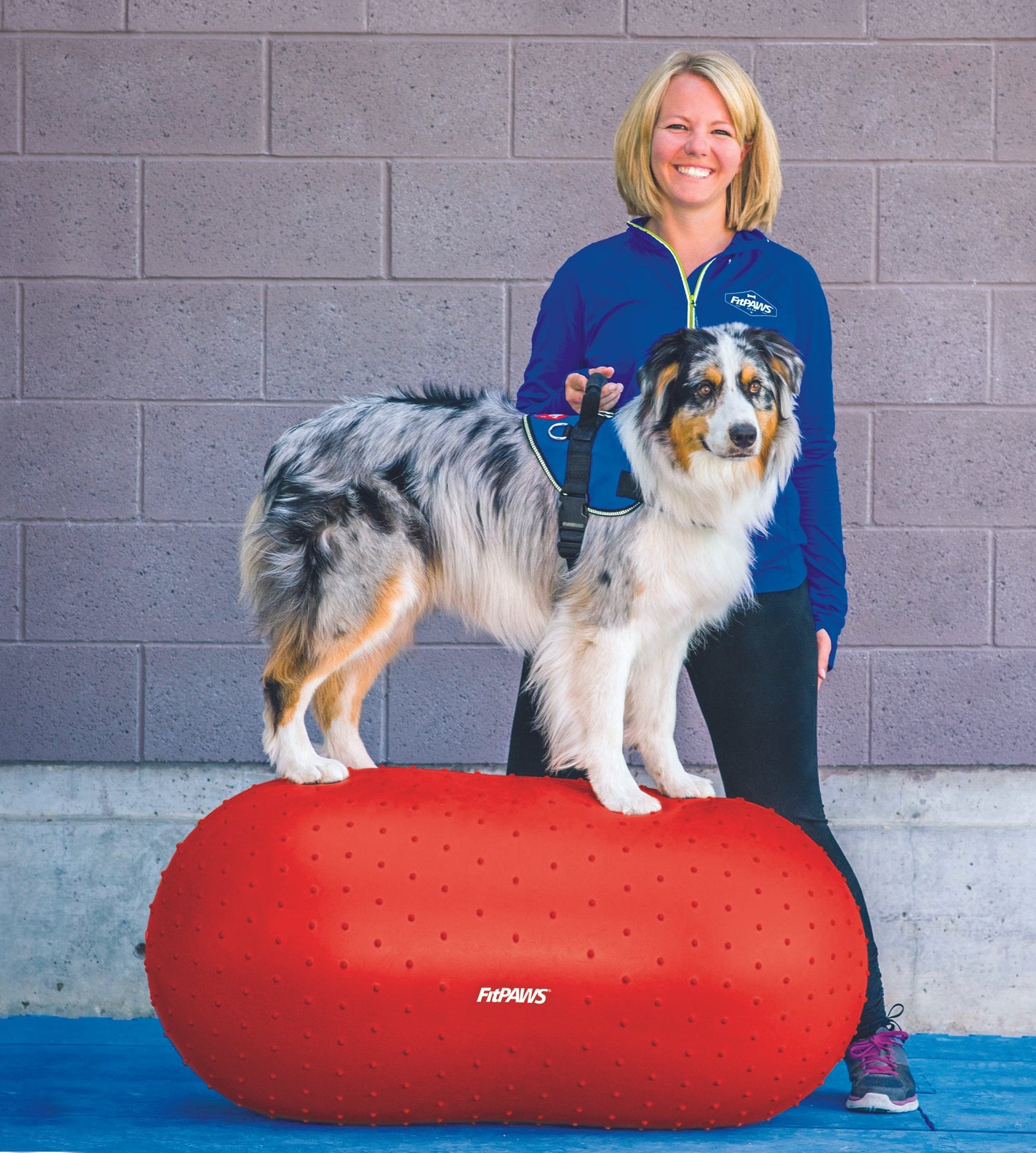 FitPAWS TRAX Peanut