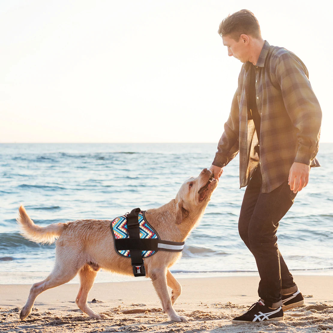 Dogline Unimax Harness