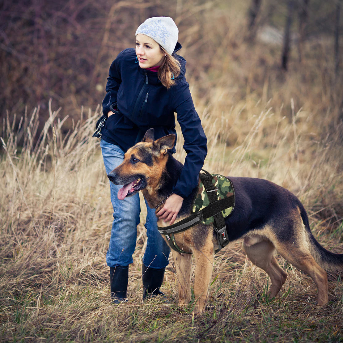 Dogline Unimax Harness