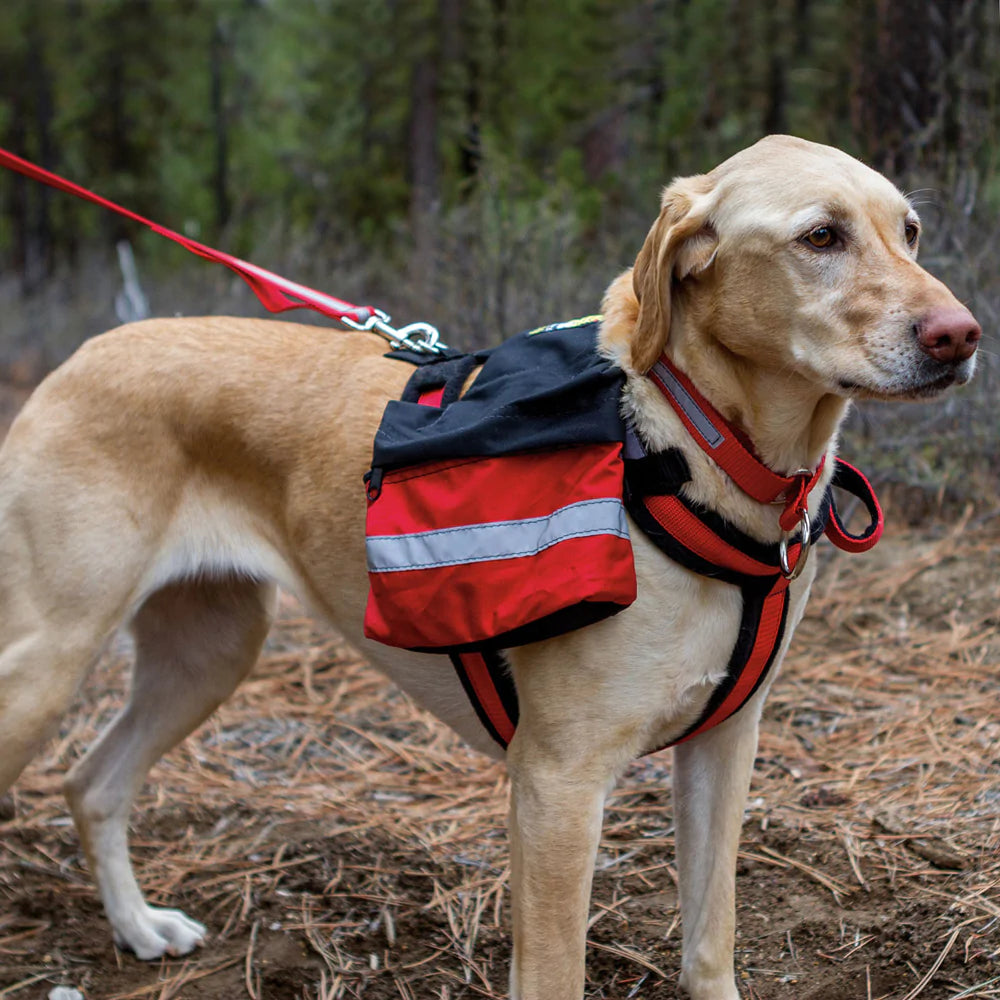 Alpine Outfitters Urban Trail Pack