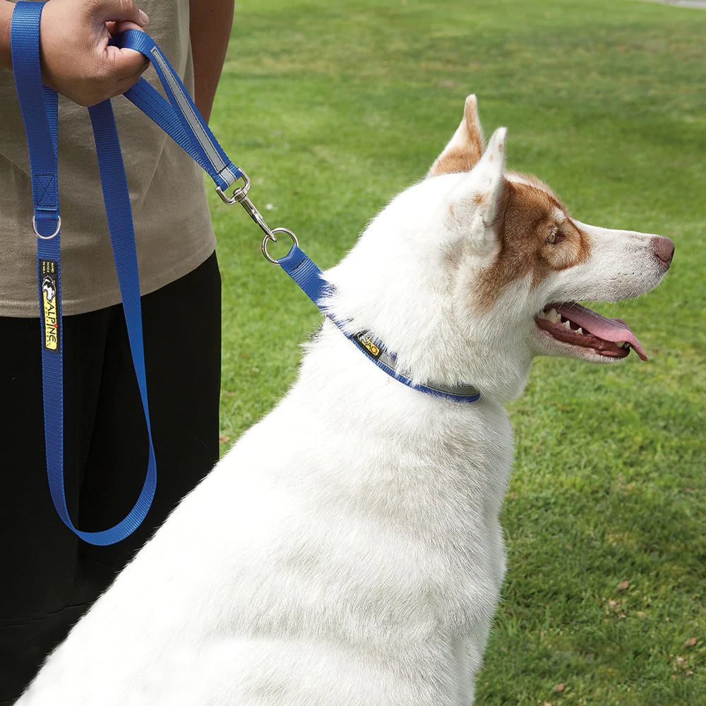 Alpine Outfitters 5' Walking Leash w/Traffic Handle, Reflective Band & Accessory Ring