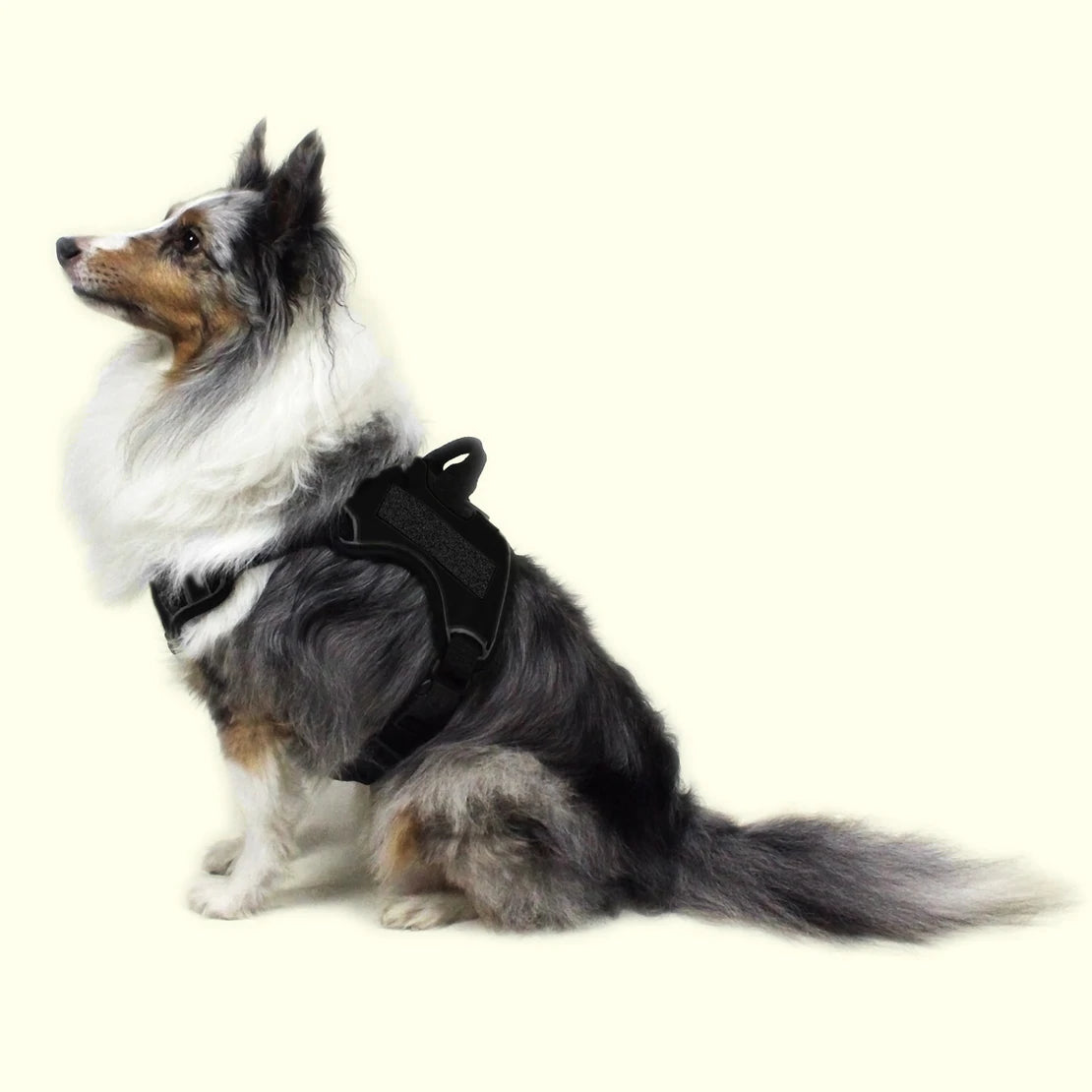 Dogline Quest No Pull Harness