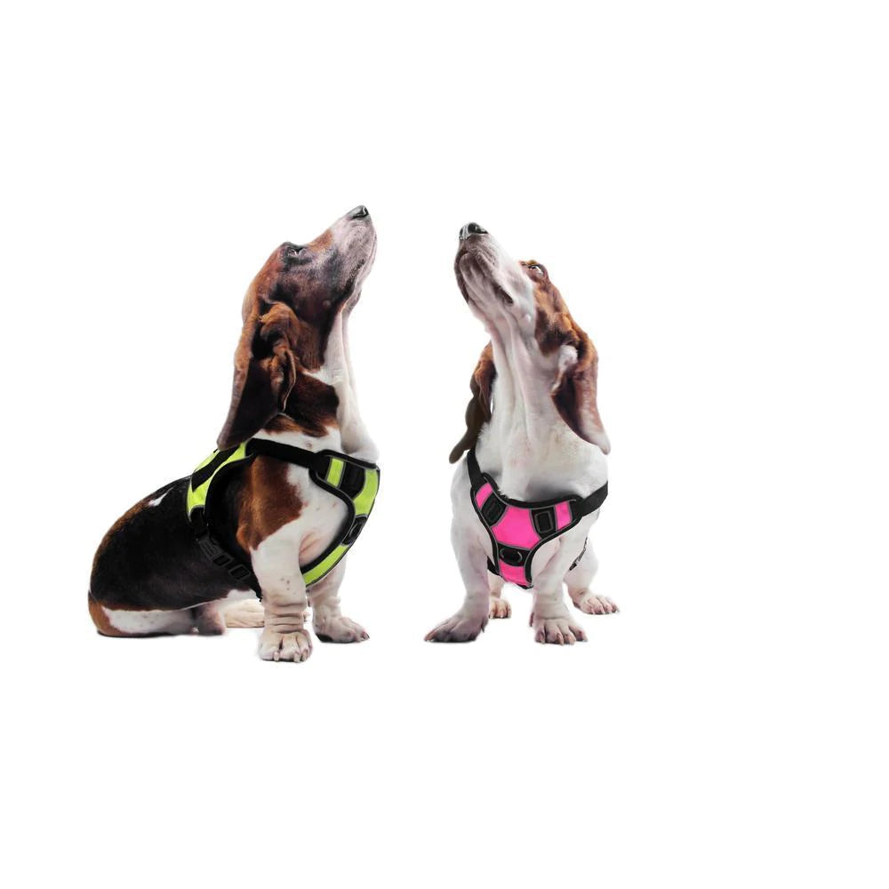 Dogline Quest No Pull Harness