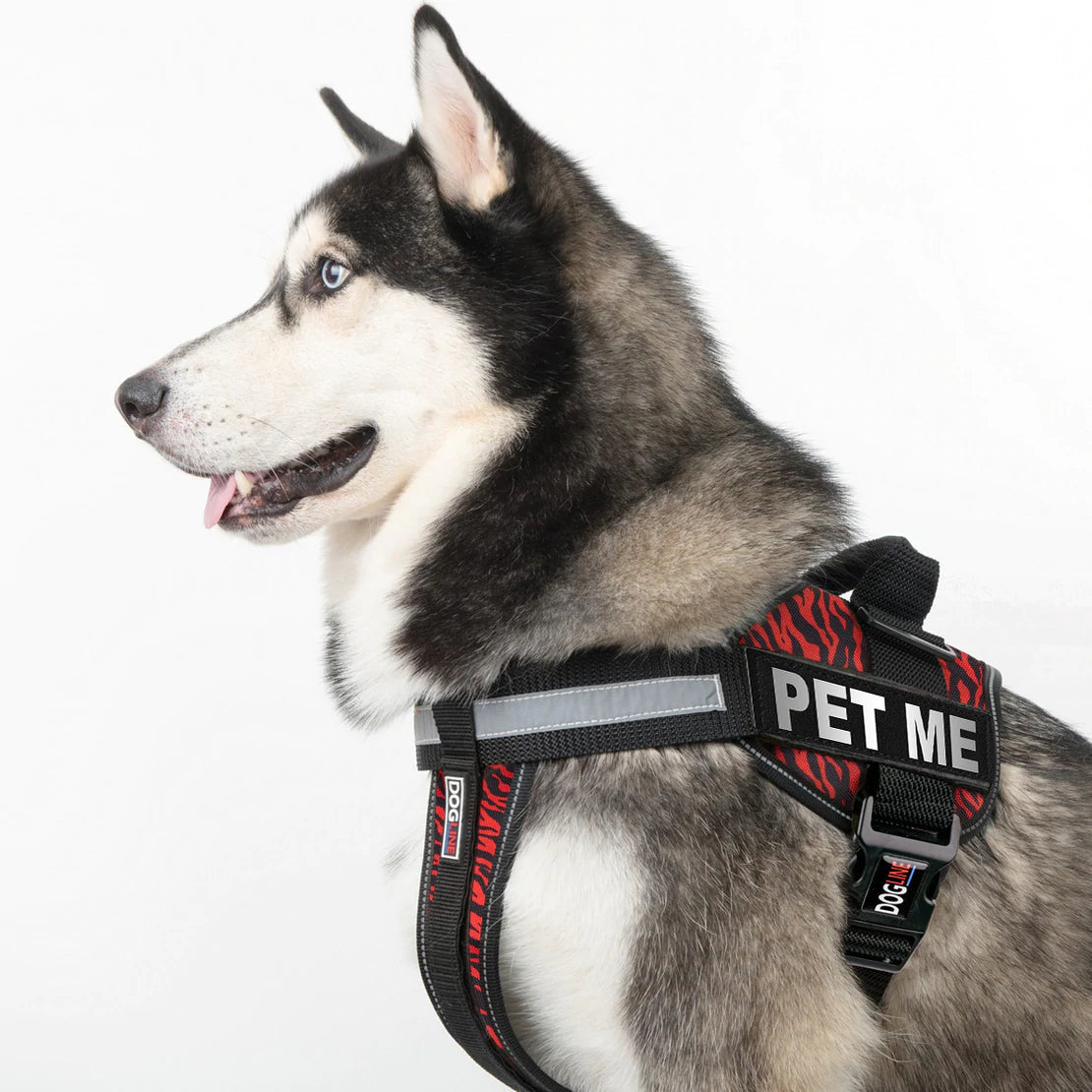 Dogline Removable Rectangle Patches