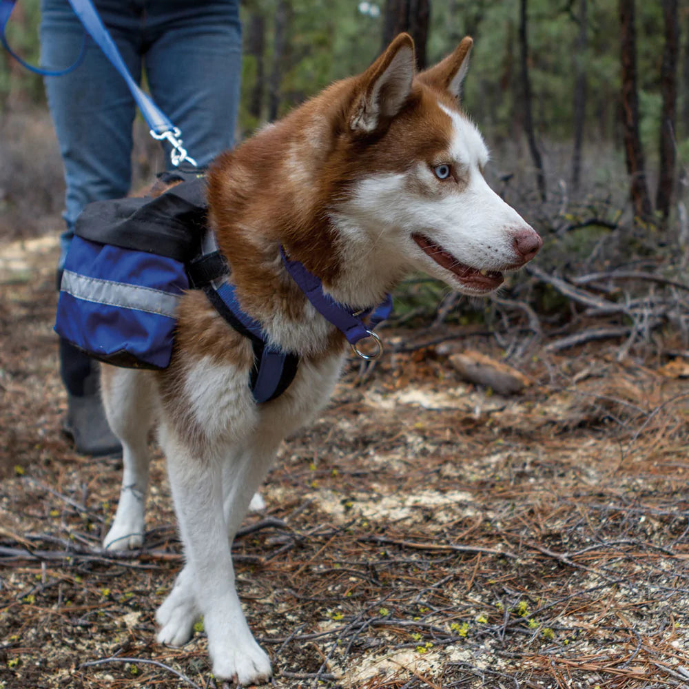 Alpine Outfitters Urban Trail Pack