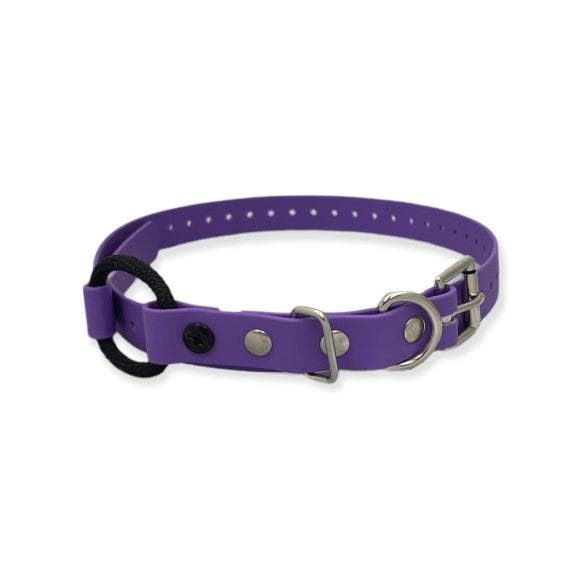 Bungee Collar for E-collar