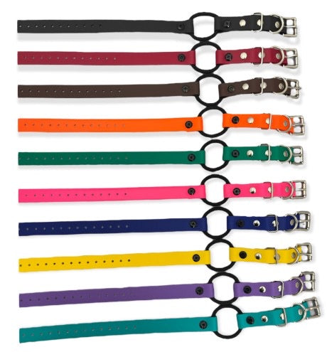 Bungee Collar for E-collar
