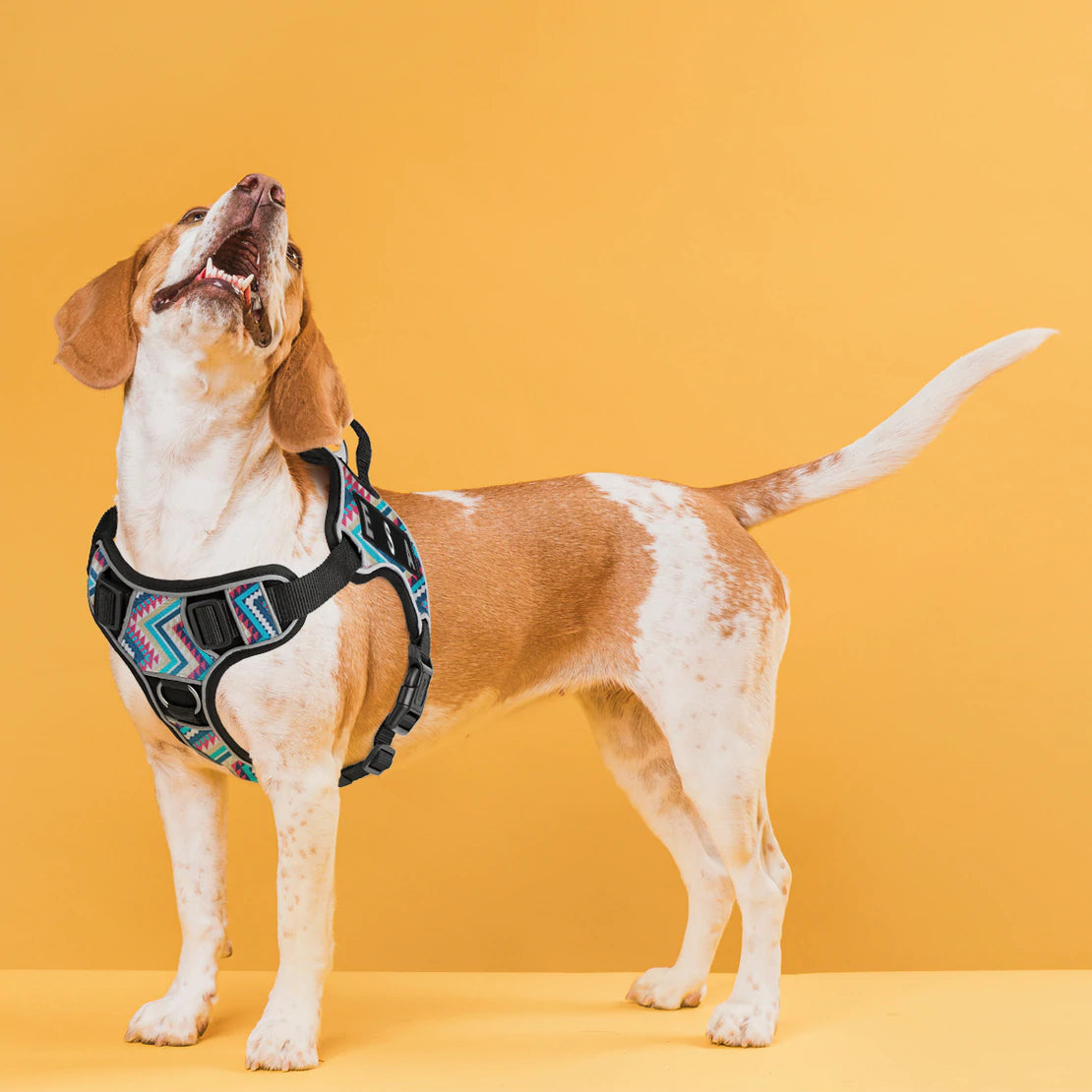 Dogline Removable Rectangle Patches