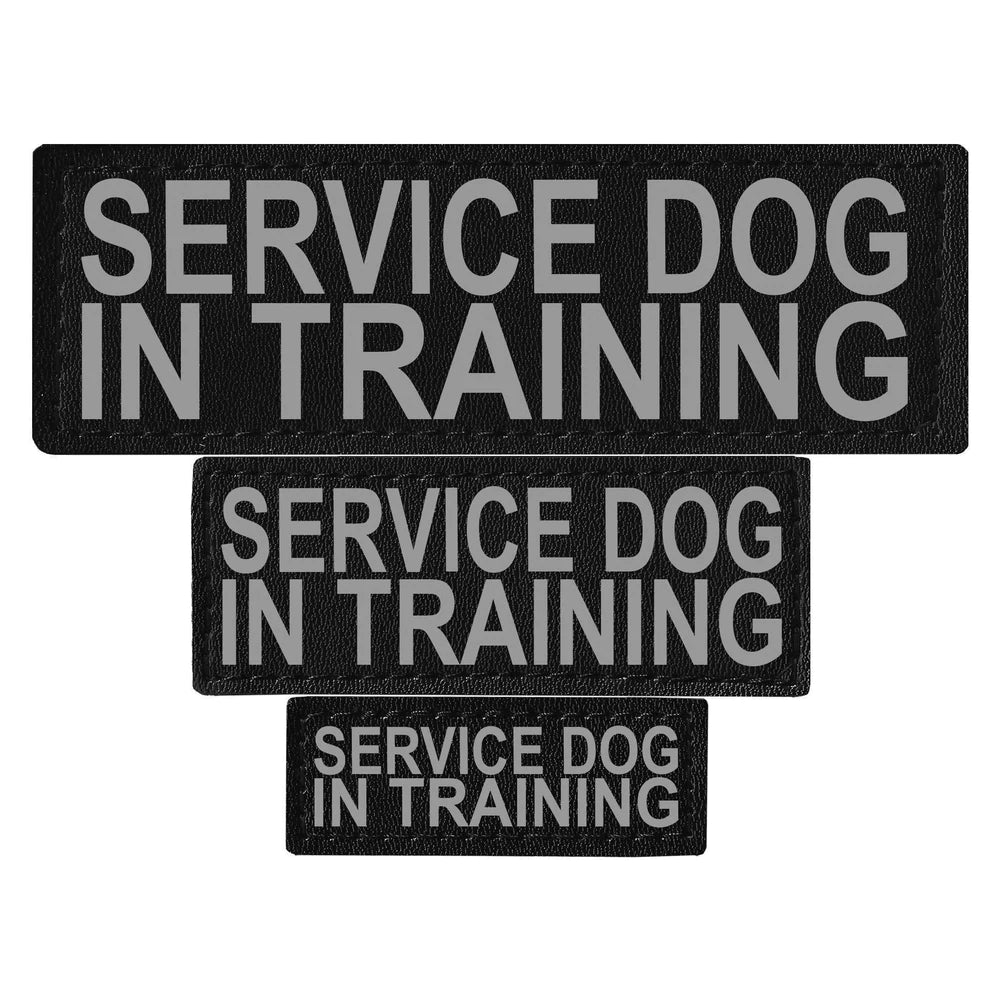 Dogline Removable Rectangle Patches