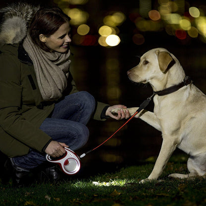 Flexi Leash Accessory