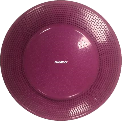 Balance Disc