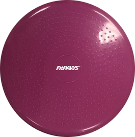 Balance Disc