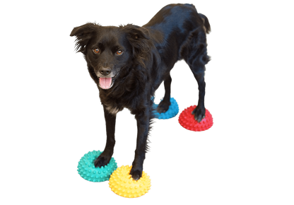 Paw Pods