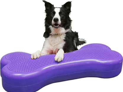Giant K9FITbone