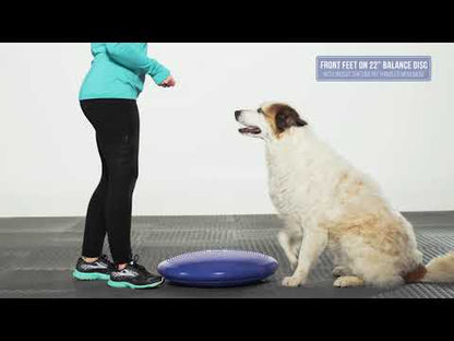 Balance Disc