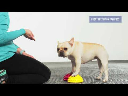 Paw Pods