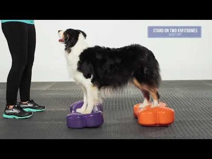 Giant K9FITbone