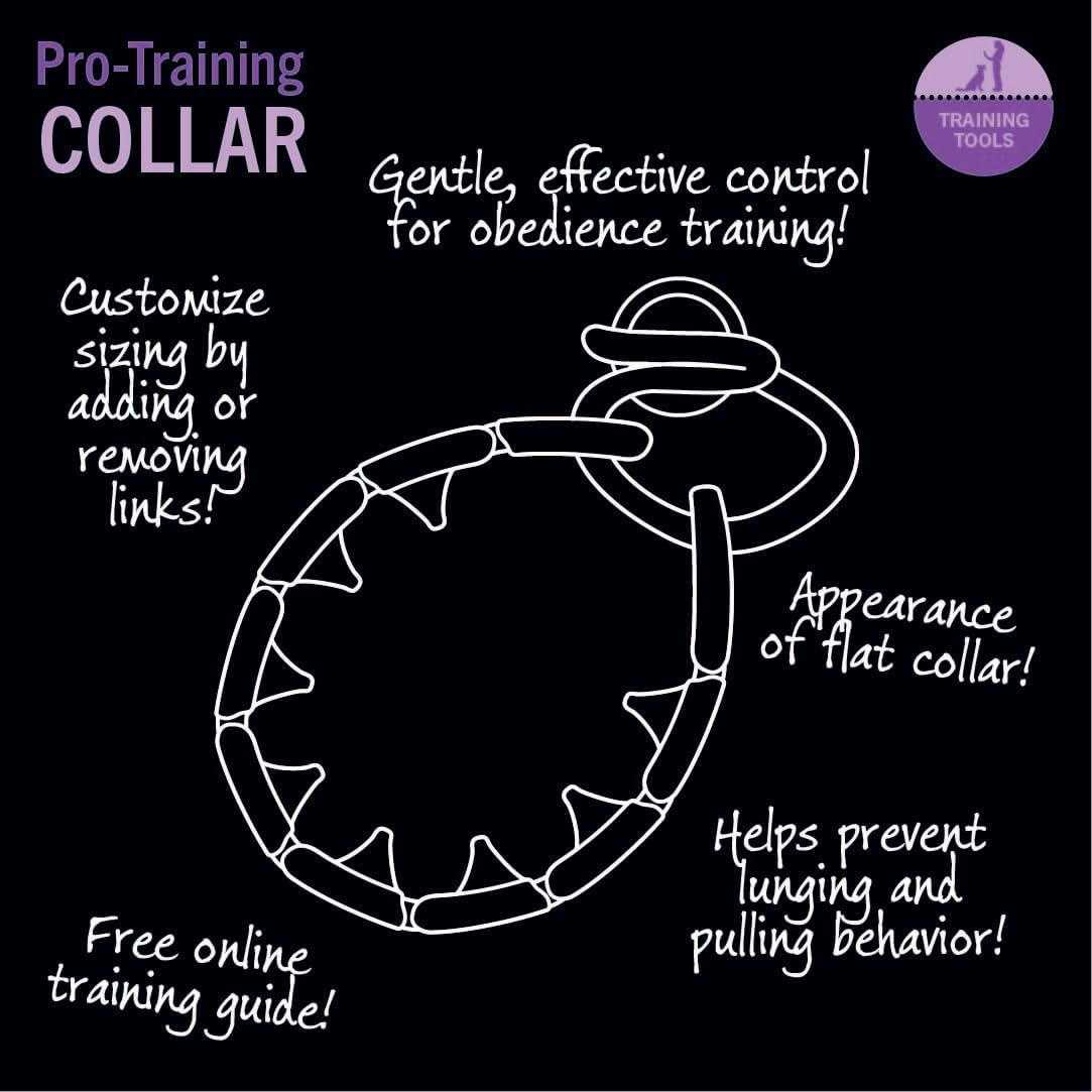 Starmark Collar