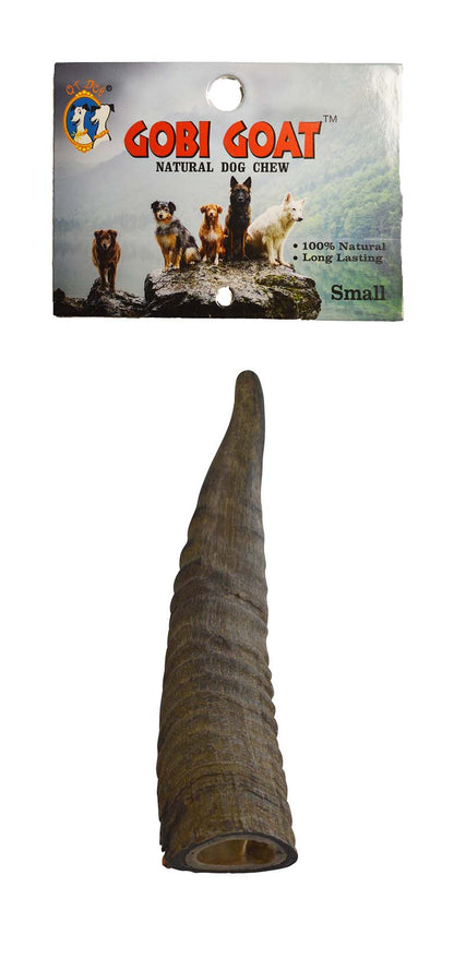 Gobi Horn
