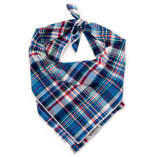 Madras Blue and Red Plaid Bandana