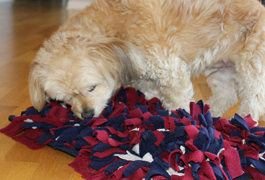 Slow Feed Sniff Mat