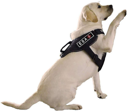 Dogline Rubber Removable Patches