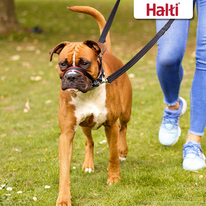 Halti Optifit Headcollar