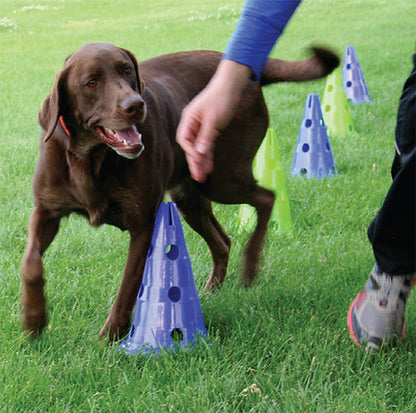 FitPAWS Agility Kit CanineGym 3 Jumps