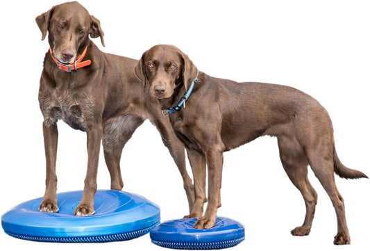 Balance Disc