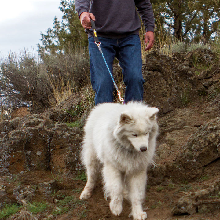 Alpine Outfitters Chew-Proof Dog Leash