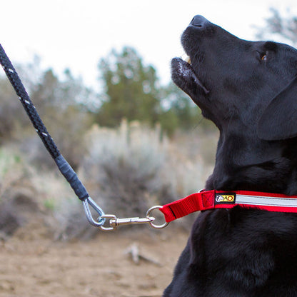 Alpine Outfitters Chew-Proof Dog Leash