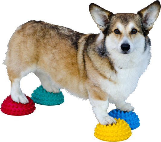 FitPAWS Paw Pods