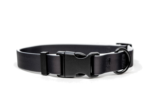 Waterproof Black Collar