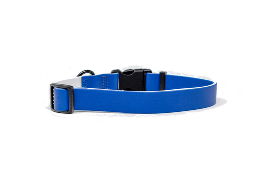 Waterproof Blue Collar